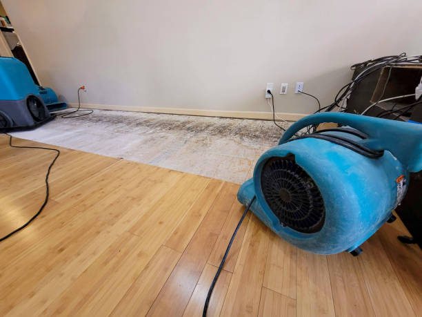 Professional Basement Flood Cleanup technician working in Harborside, ME